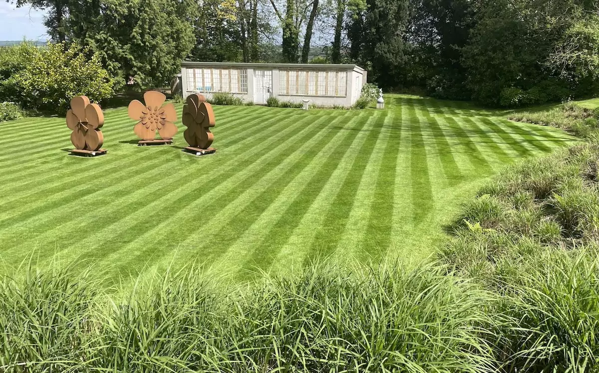 The same lawn after renovation — thick, even and striped