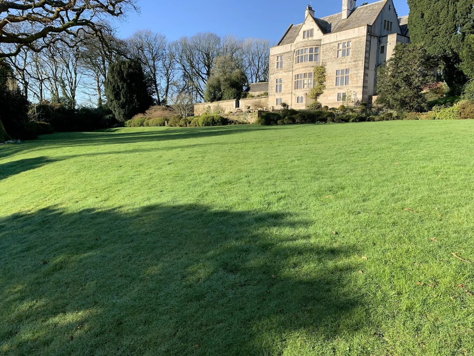 Striped front lawn with ornamental grasses at a property near Wadebridge