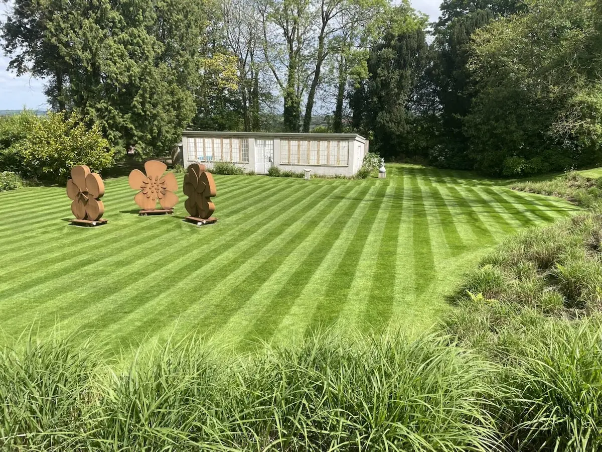 Tidy front lawn and garden at a Cornish home